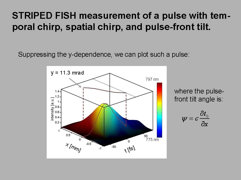 STRIPED FISH Pulse
